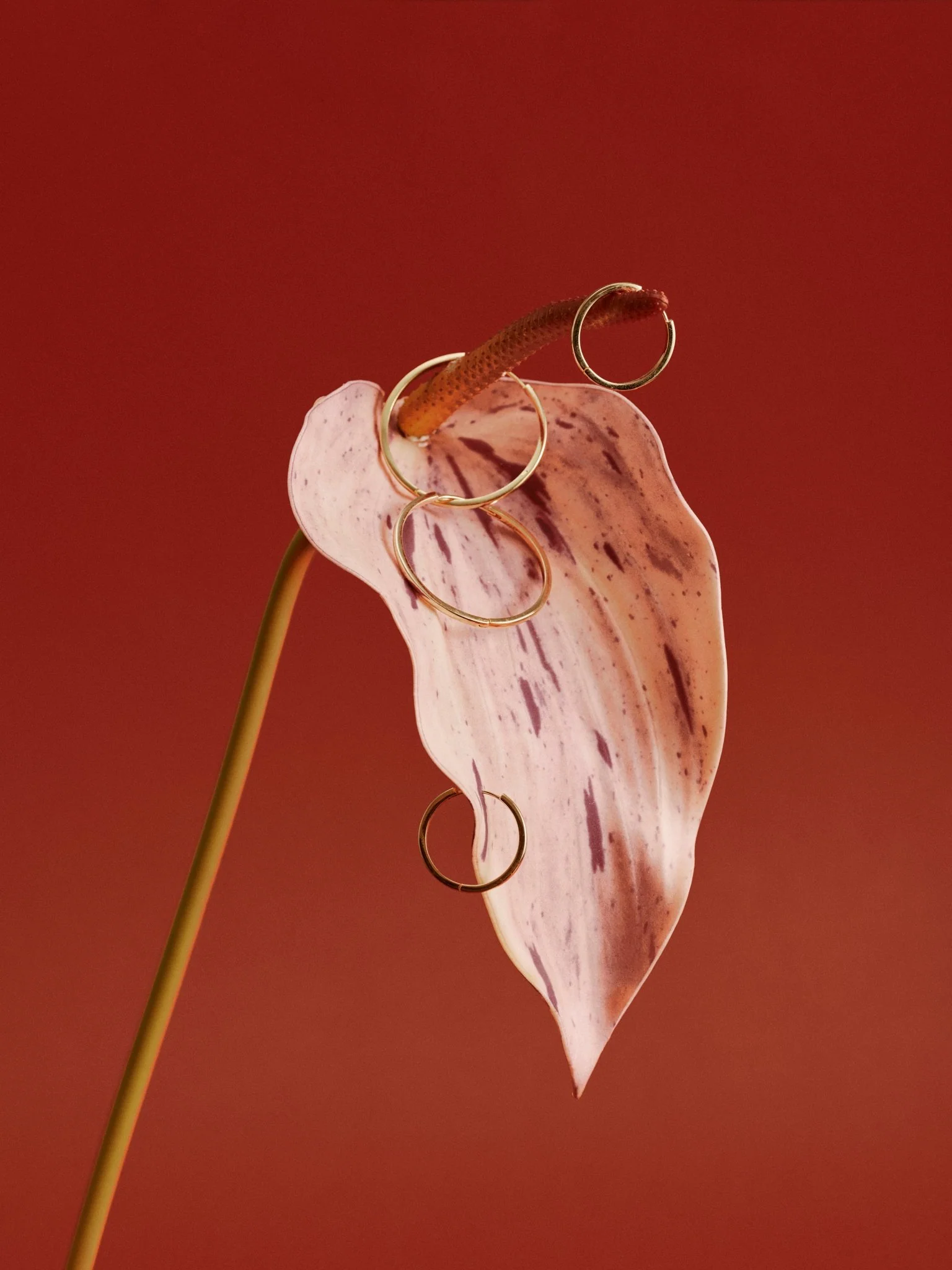 25mm Mother Hoops - Image 9