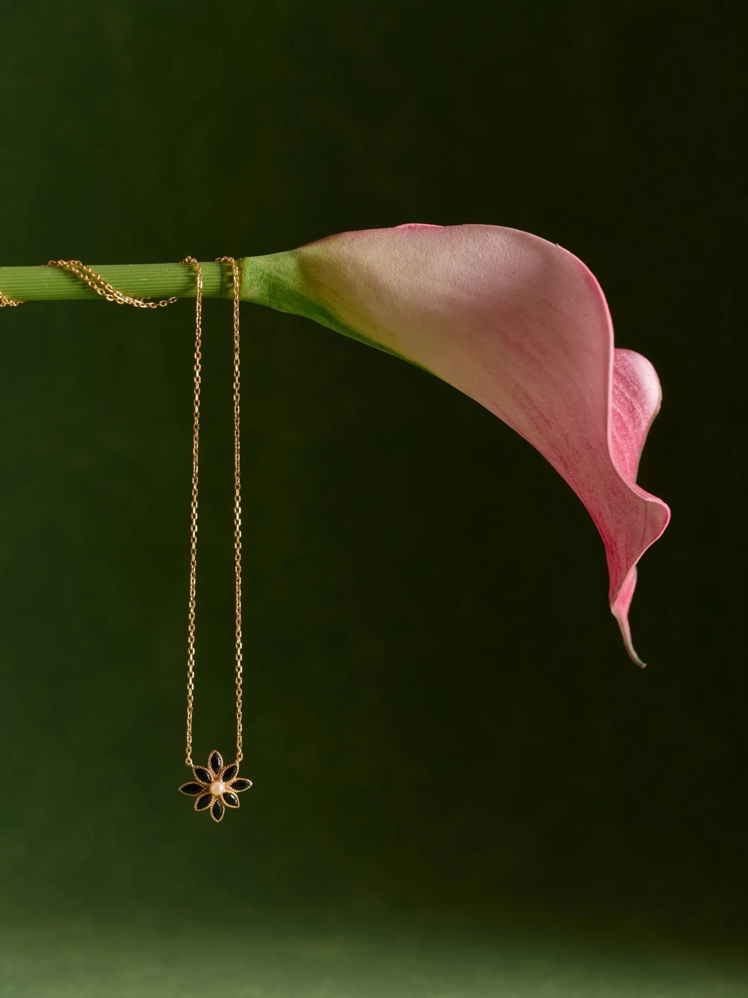 Cámellia Black Onyx Pearl Necklace - Image 7