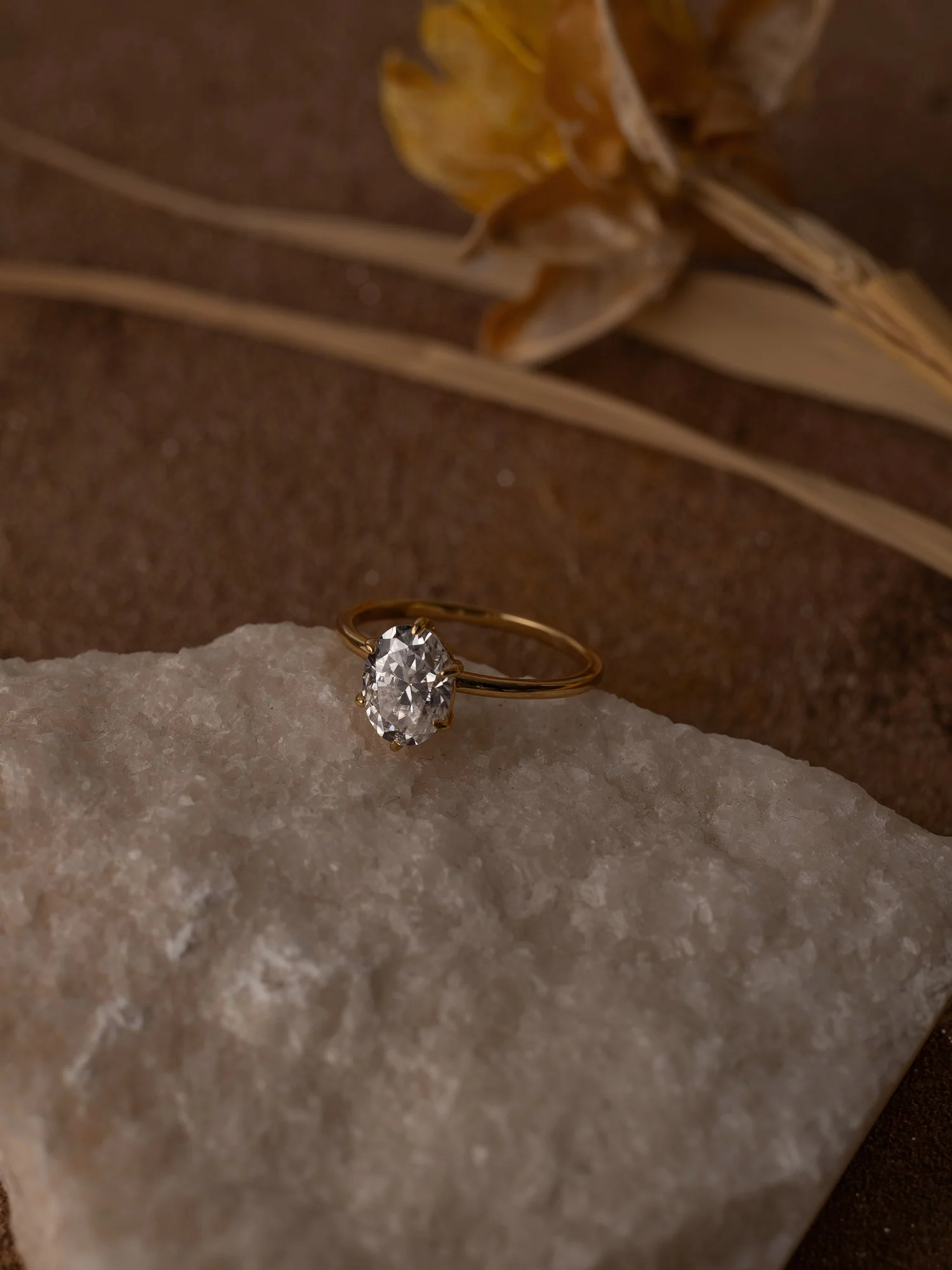 All of Me Band - Image 6