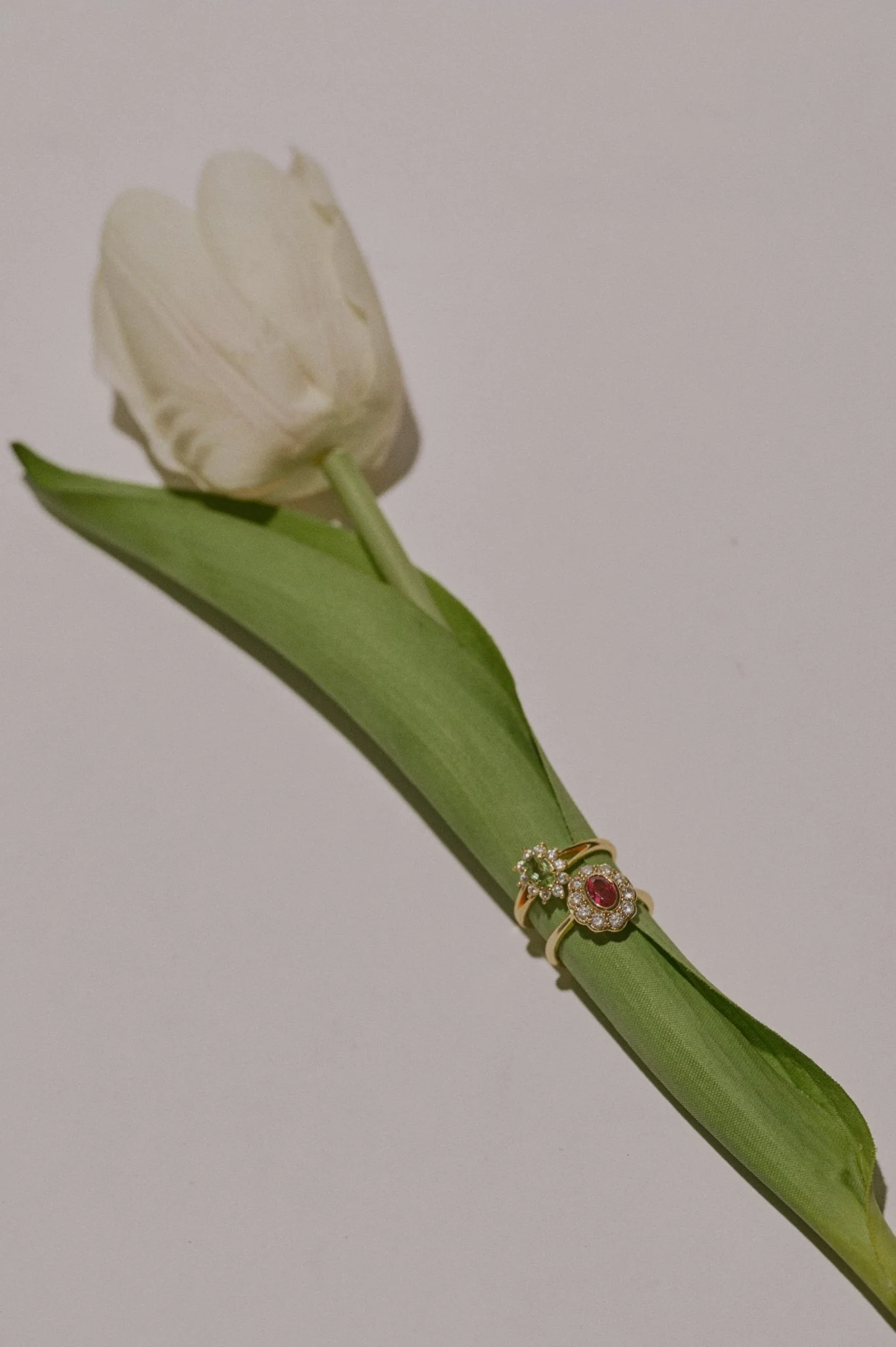 TiAmo Oval Ruby Ring - Image 15