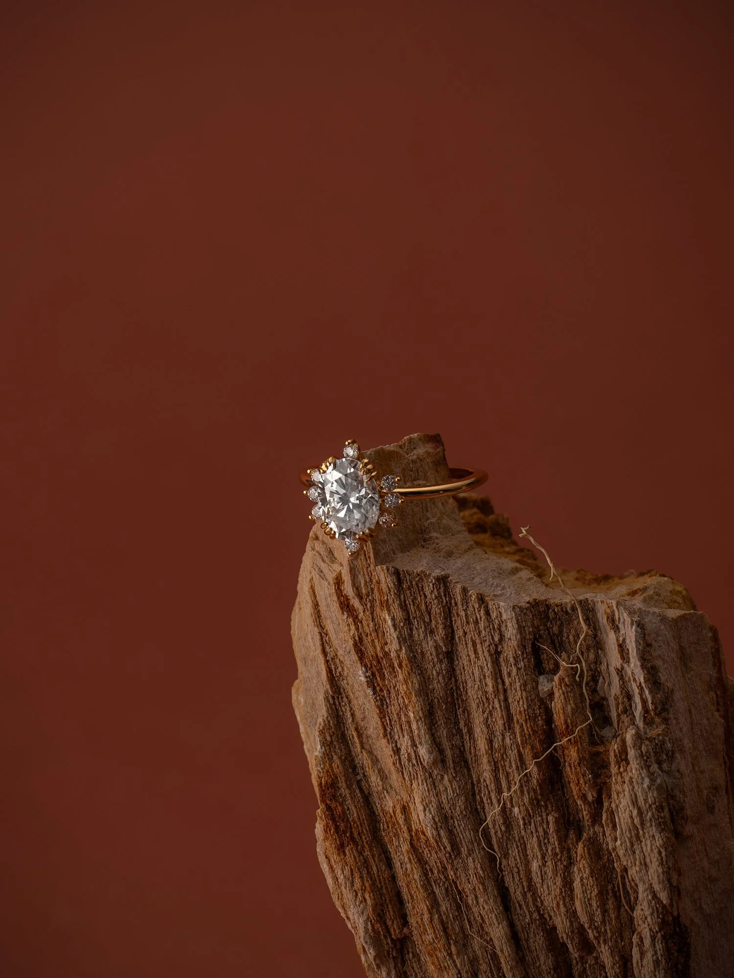 True Love Band - Image 5