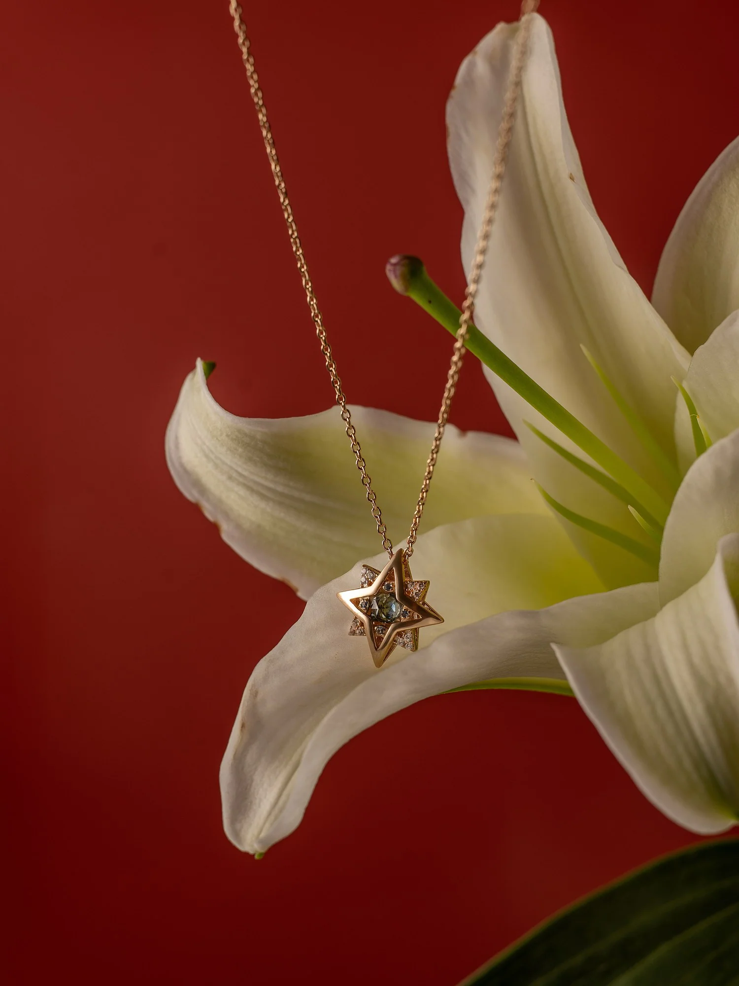 New York Topaz Pentagram Necklace - Image 8