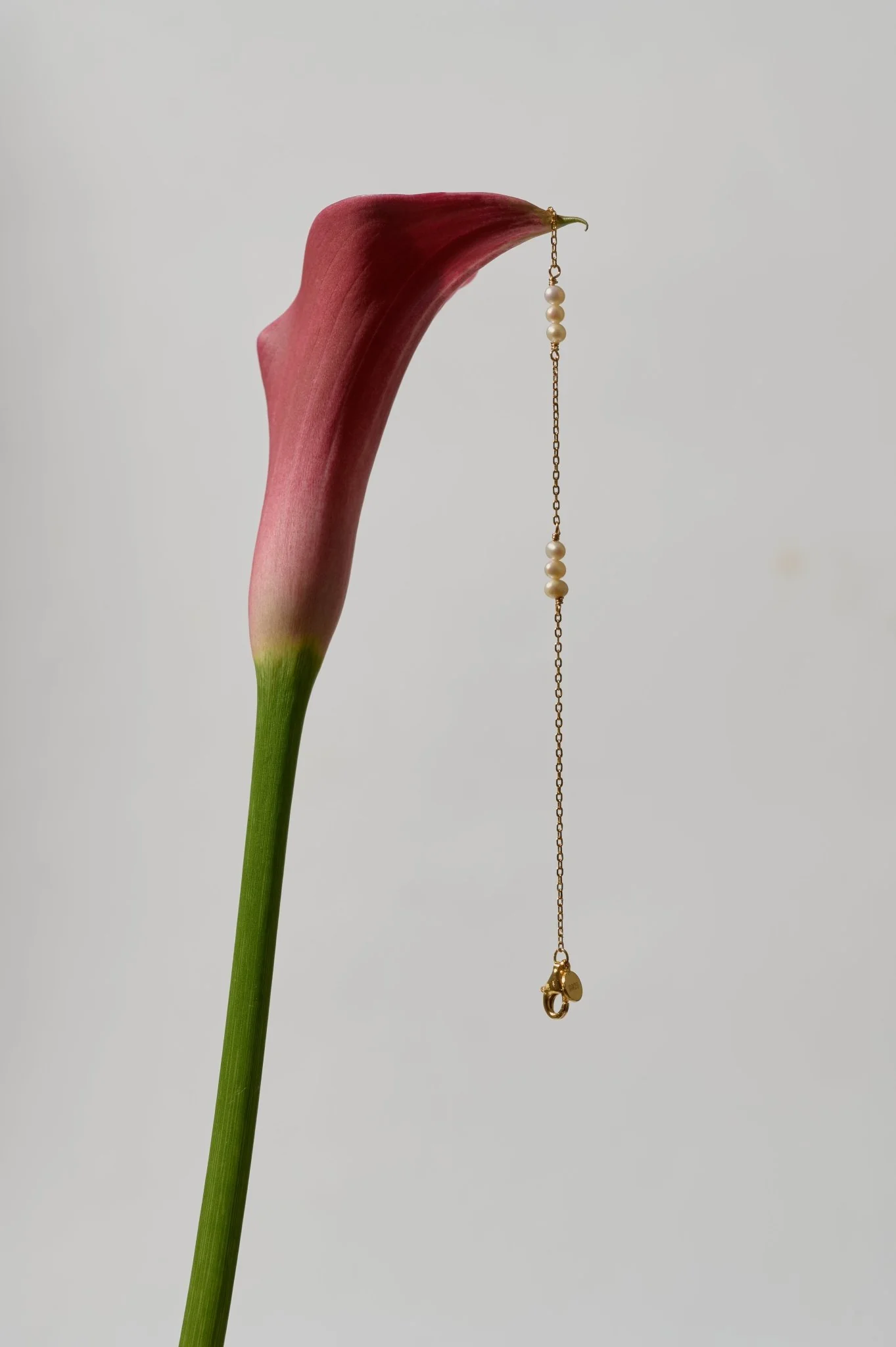 Polly Pearl Chain Necklace - Image 6