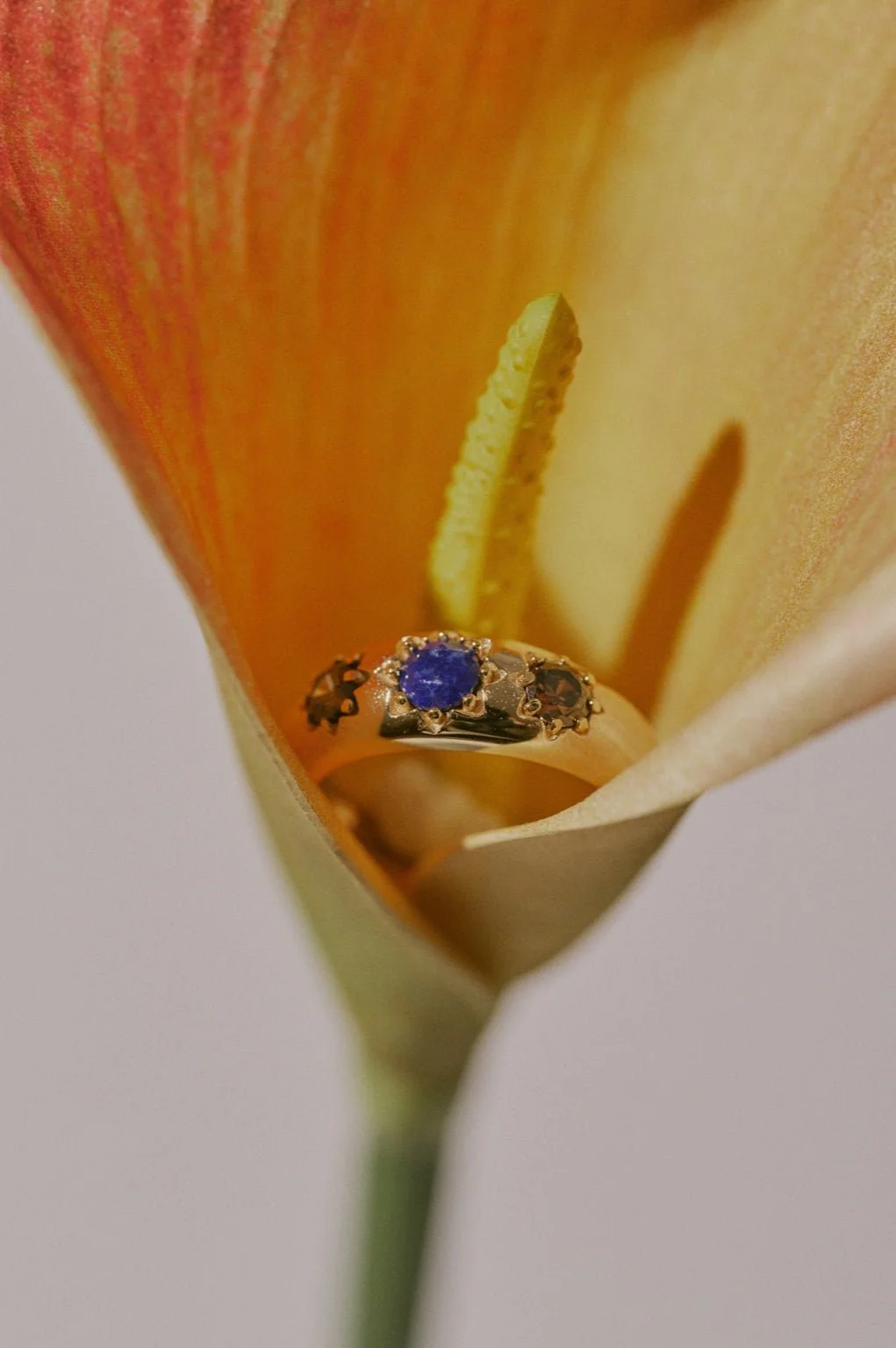 Savannah Lapis Lazuli Ring - Image 5